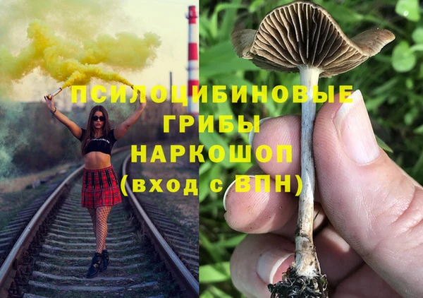 соль курить ск Абаза